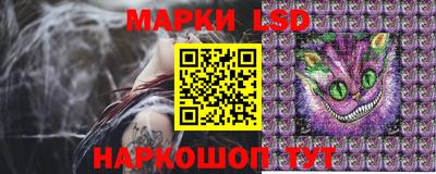 прущие грибы Коммунар
