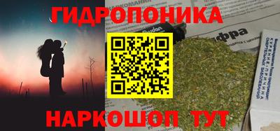 прущие грибы Коммунар